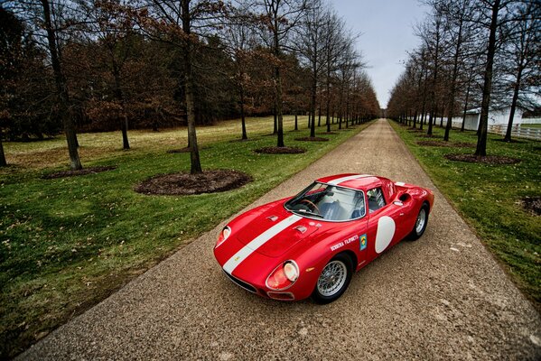 Roter Ferrari 250 lm unter Bäumen