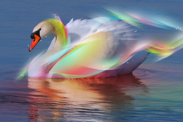 Reflection of the abstraction of a swan in the water