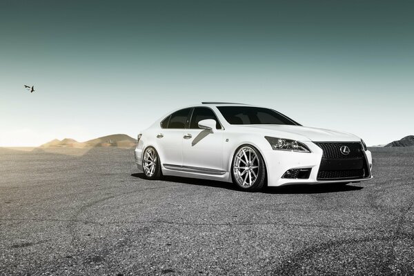 Fond d écran Lexus gs avec énorme calandre