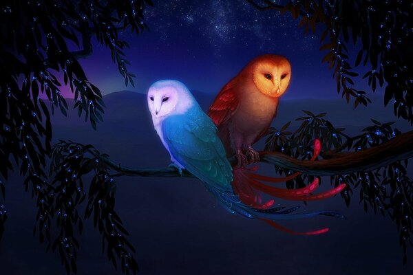 Fabulous owls, fire and water, on the branches of trees at night