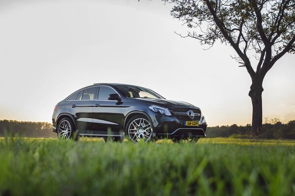 Mercedes amg gle 63s SUV at dawn