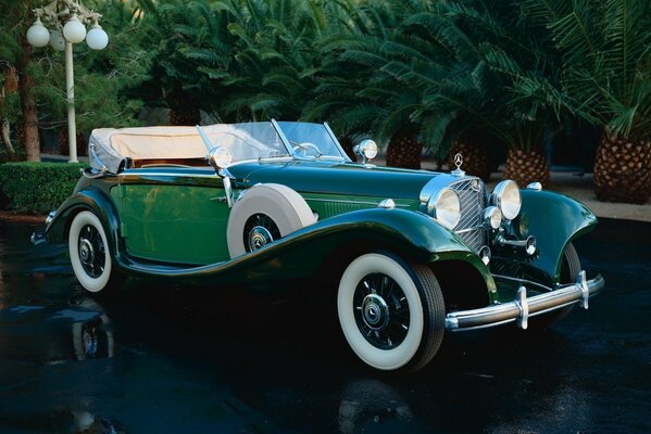 Voiture de rareté, Mercedes vert classique sur fond de palmiers