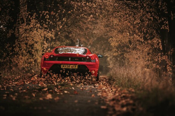 Une voiture rouge part sur les feuilles mortes au loin