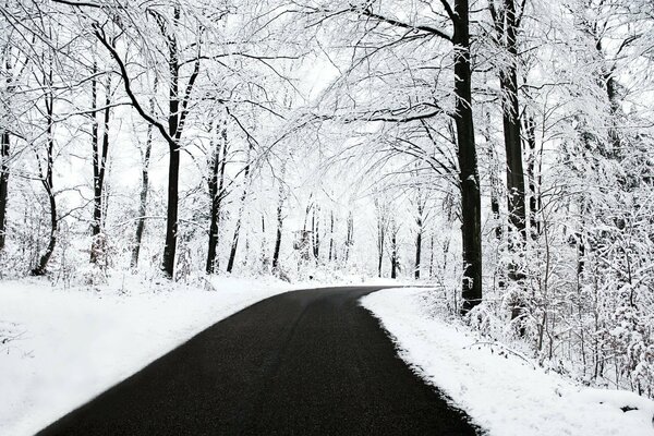 Winterstraße mit sauberem Asphalt