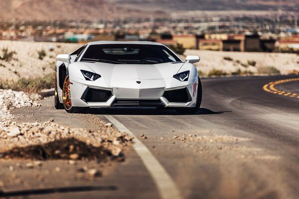 White lamborghini supercar rides on the road in the desert