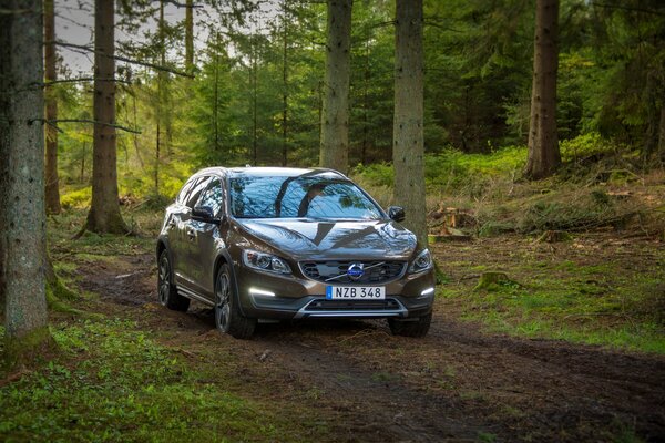 A 2015 Volvo grey car in the woods