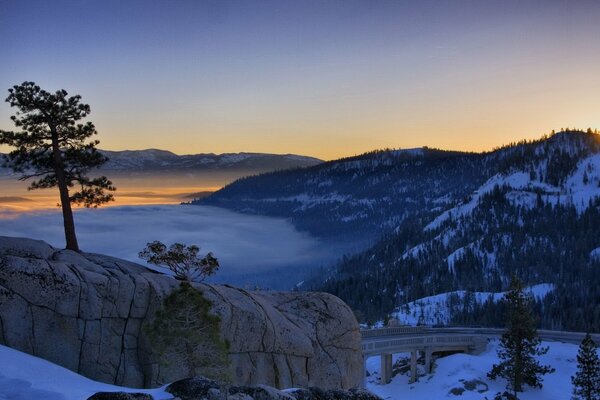 Tree on a rock, winter landscape of mountains