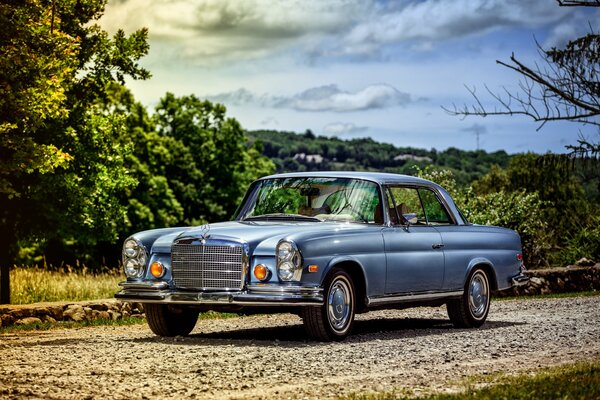 Bleu Mercedes Benz 1969