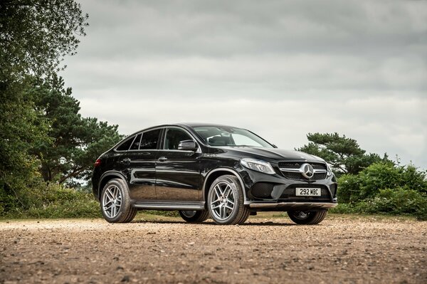 Mercedes-benz 2015 black color near the trees