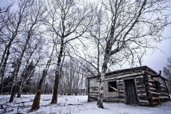 Ein Haus in einem verlassenen Winterwald