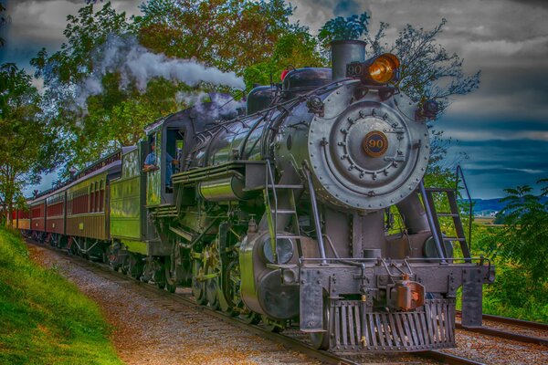 Paseos en tren retro, alrededor de hermosos árboles