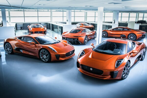 Salon with orange racing cars