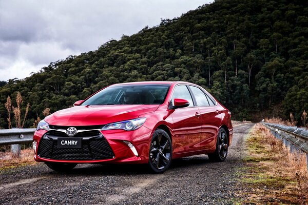 A red Toyota Camry stands at the edge of the forest