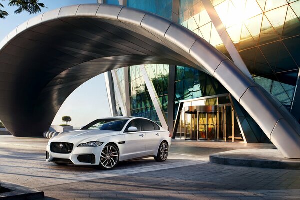 Jaguar blanc sur fond de bâtiment en verre