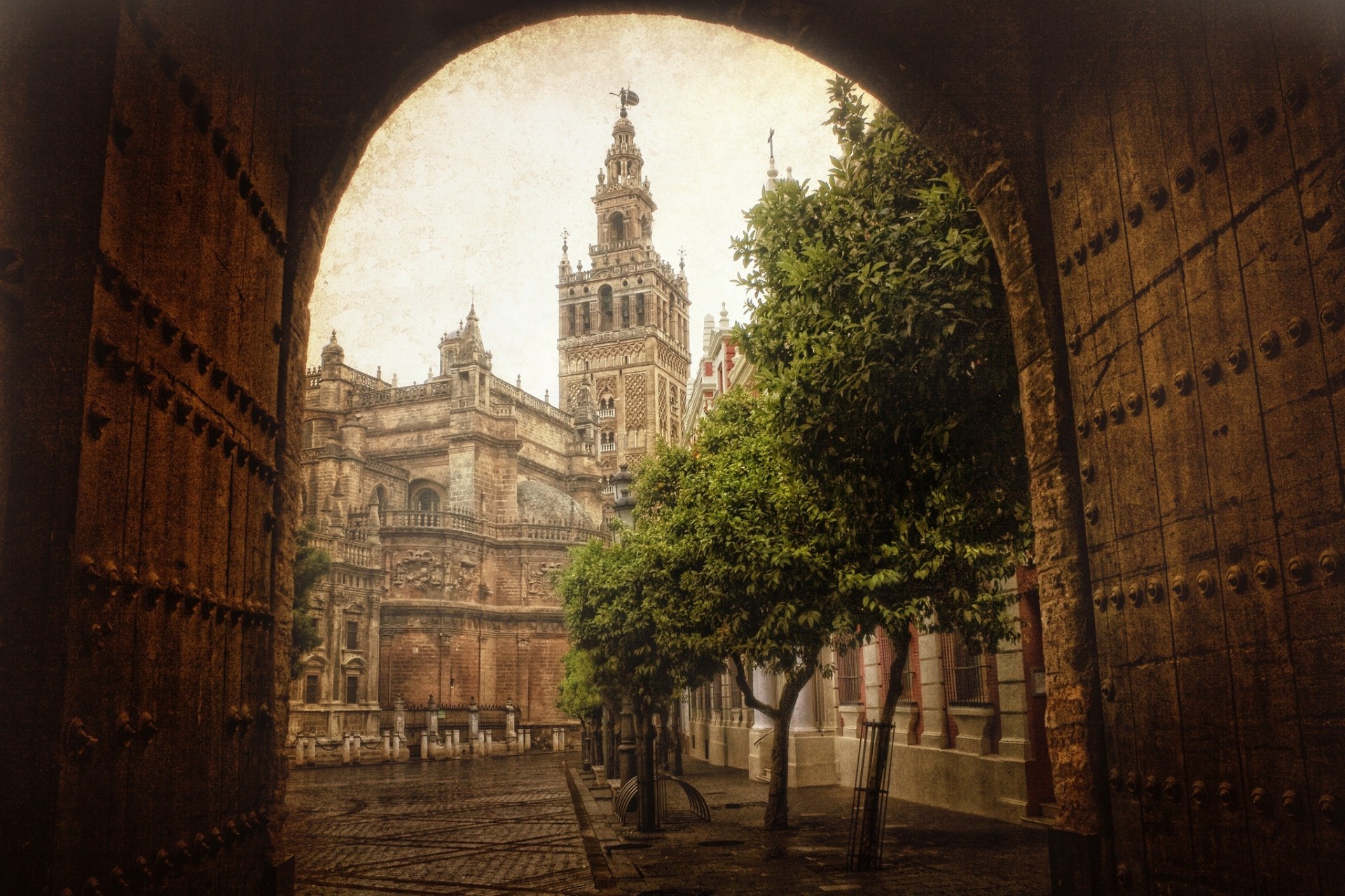 puerta árbol calle arco ciudad edificio torre