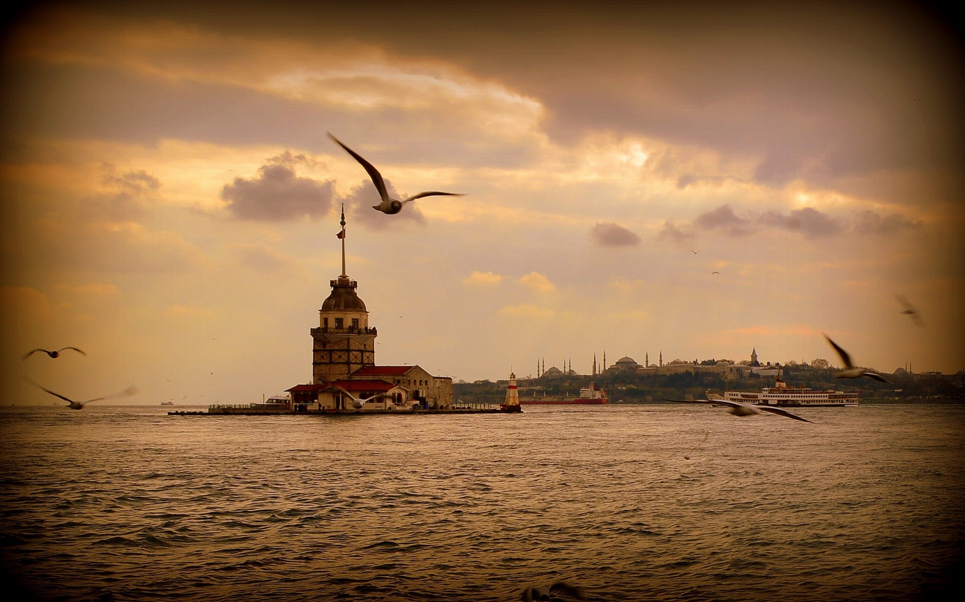 paisaje mar gaviotas estambul puesta de sol