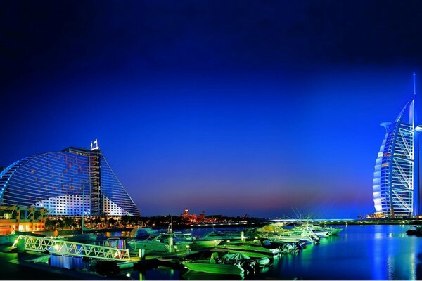 Bellezza notturna con luci a Dubai