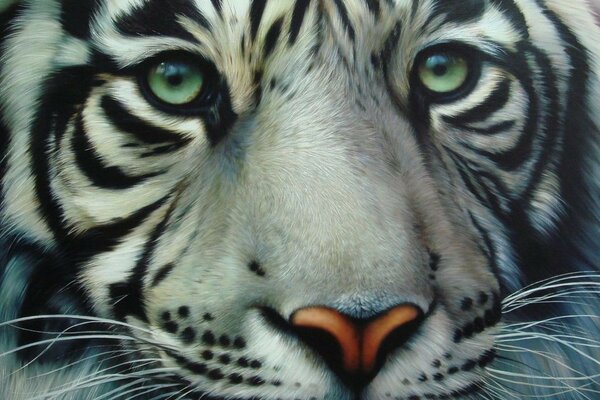 Взгляд белого тигра нарисованный