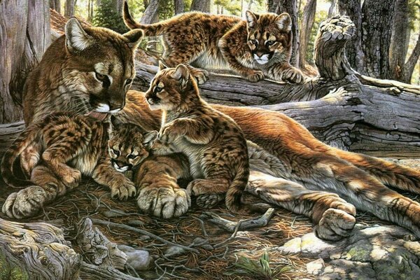 Drawing of a cougar with three kittens