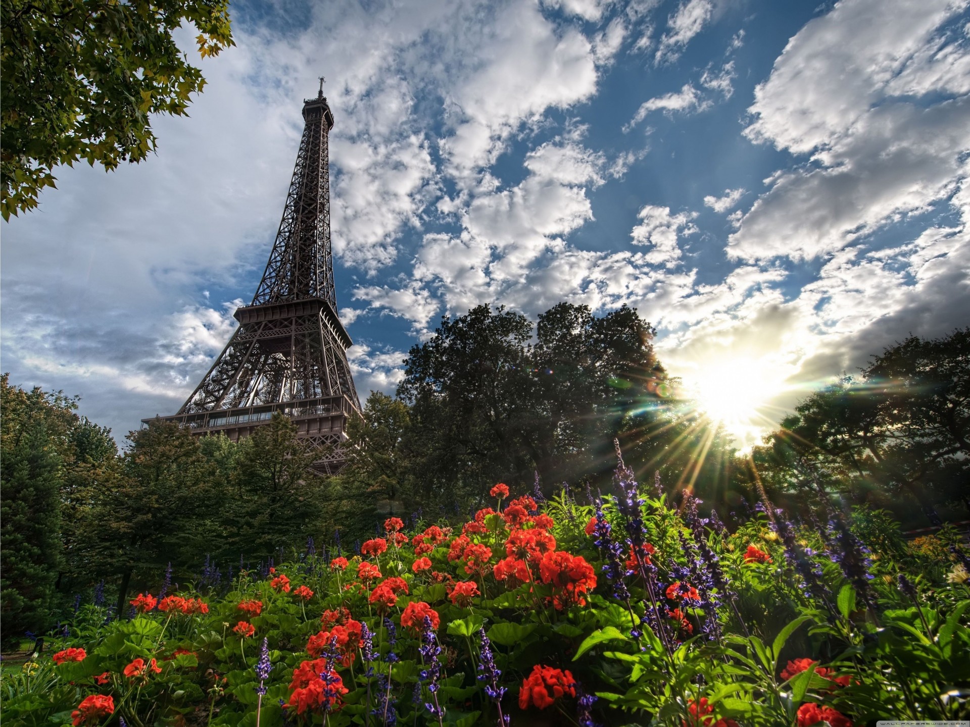 eiffelturm park turm ansicht