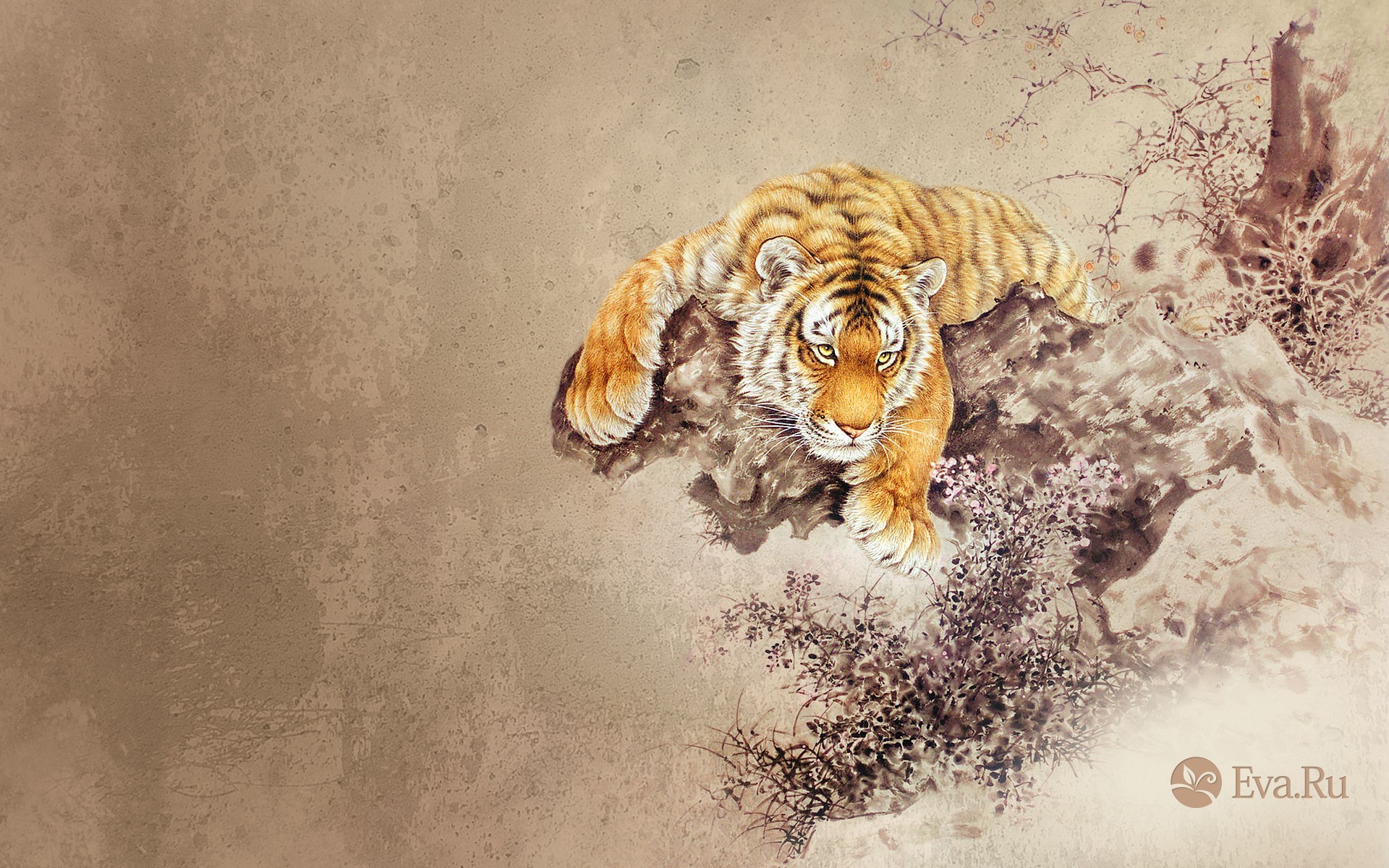 tigre animaux dessin