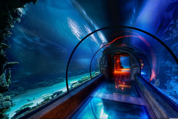Passage under water in a large aquarium
