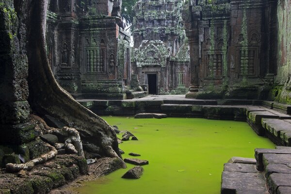 Schönheit und Frieden in einem alten Tempel