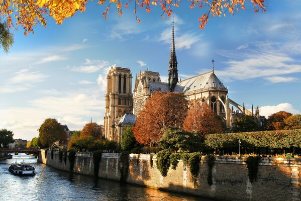 Photo Notre Dame de Paris in the fall. Sunny weather