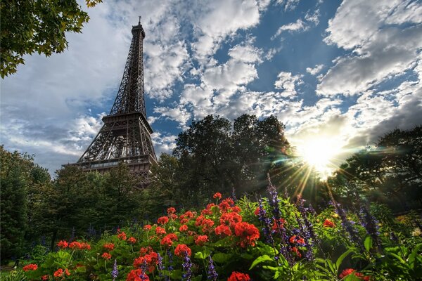 Blick auf den Eiffelturm vom Park aus