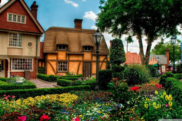 Flowers in the Disney garden at home