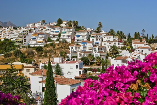 Schöne Landschaft in Spanien. häuser auf einem Hügel in Blumen