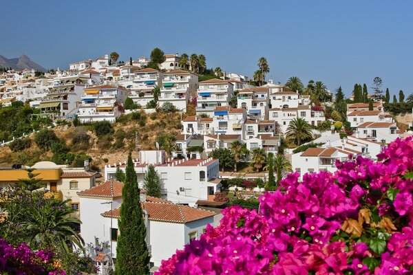 Hermoso paisaje en España. casas en una colina con flores