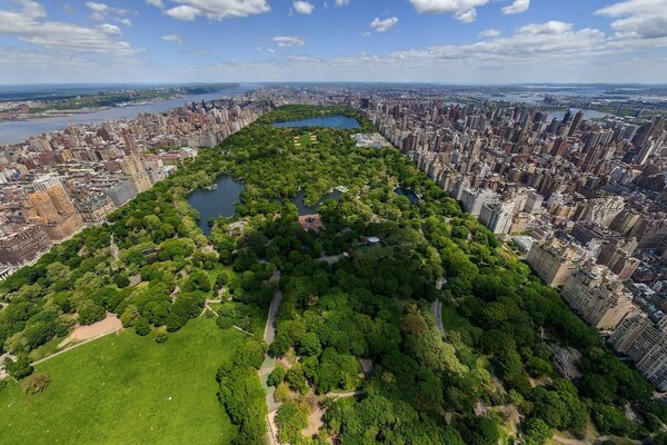 View of New York from the height of the plane