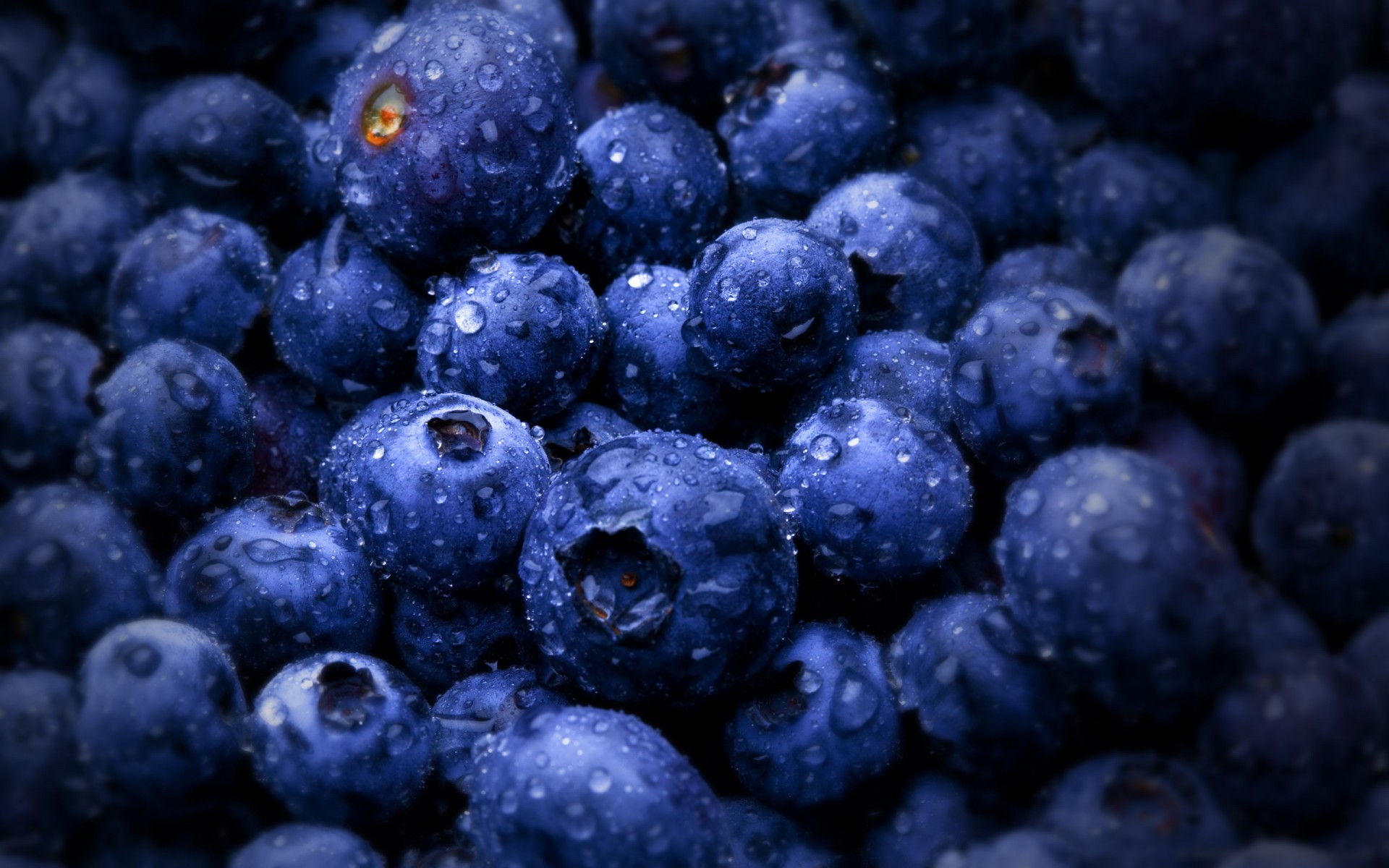 berries blueberrie