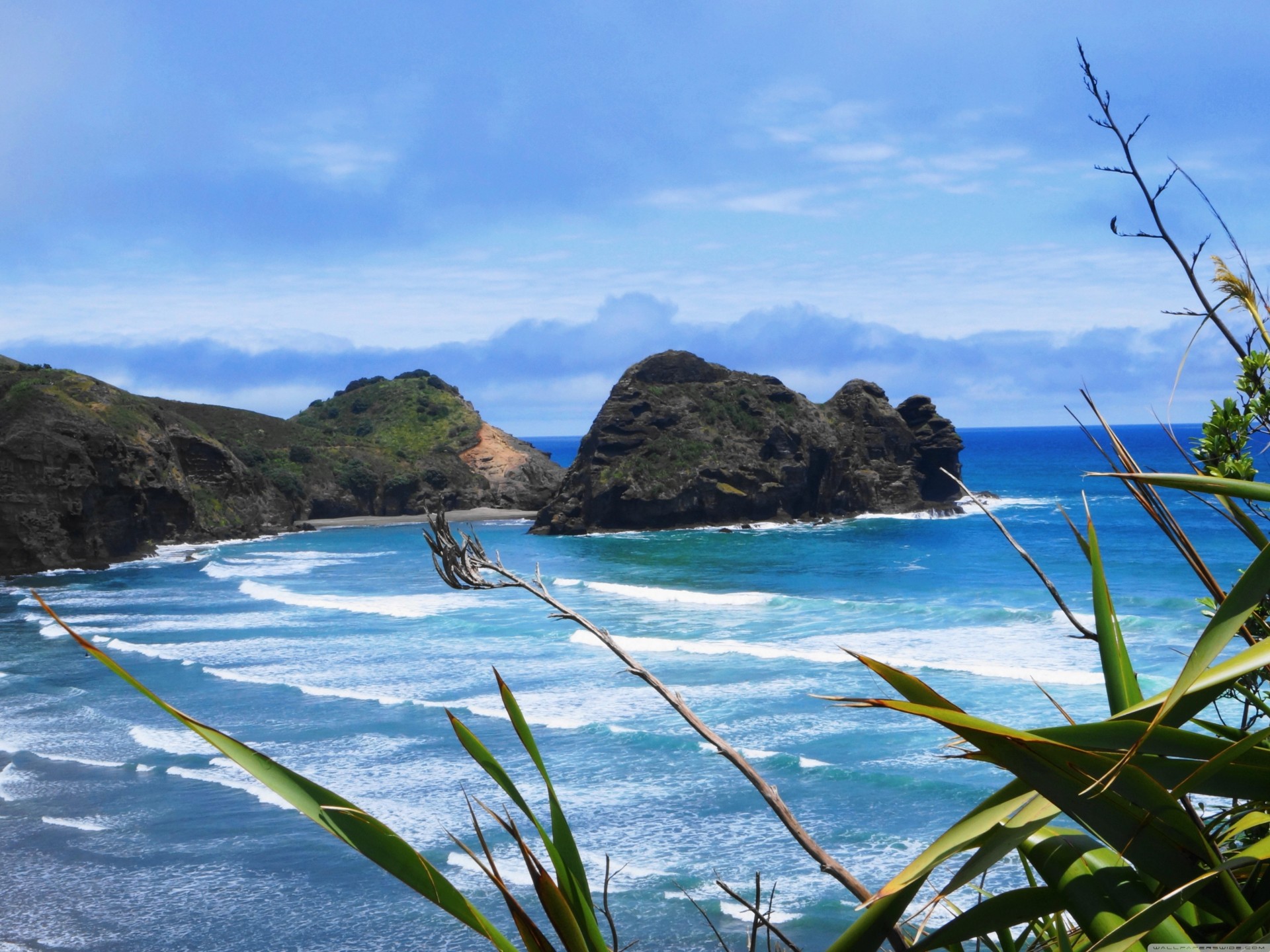 paysage beauté nature plage ensoleillé bleu fond paysages oceanscape nouvelle-zélande