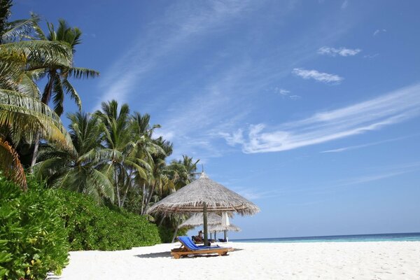 Пляж с пальмами и голубым небом
