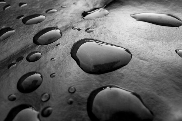 Photo de gros plan de gouttes noir et blanc sur une feuille