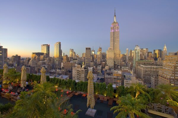 Lever du soleil à New York. Gratte-ciel et palmiers. Vue de dessus