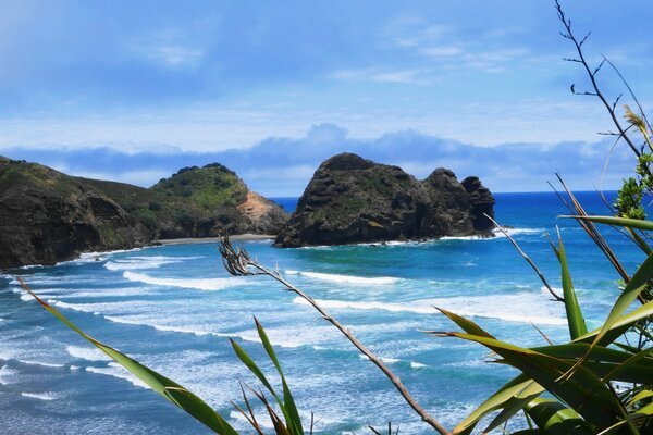 Stylowy krajobraz plaży w Nowej Zelandii