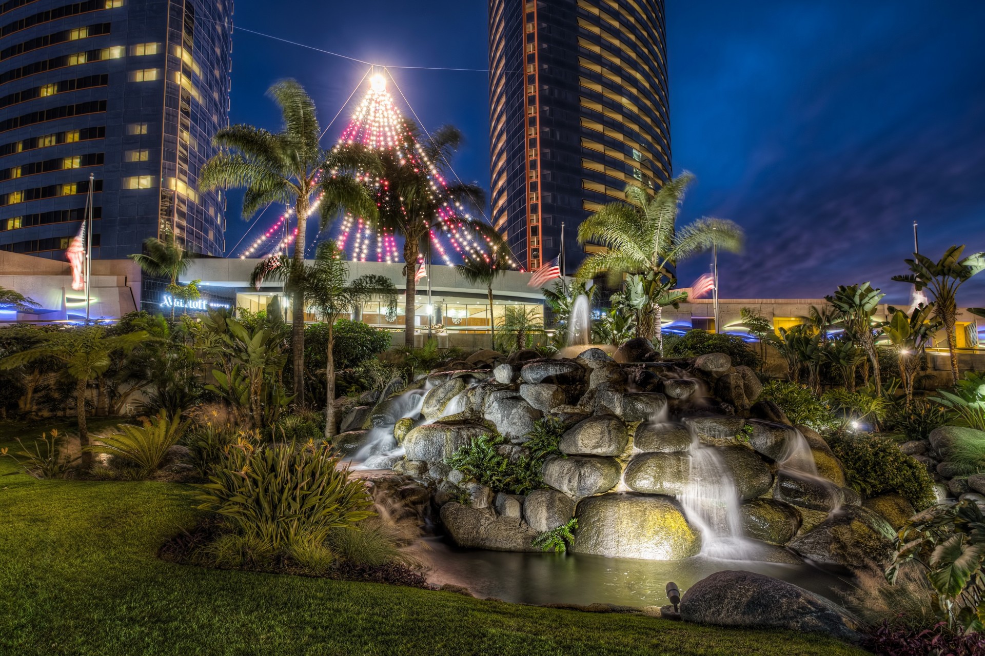 steine nacht palmen san diego usa kalifornien