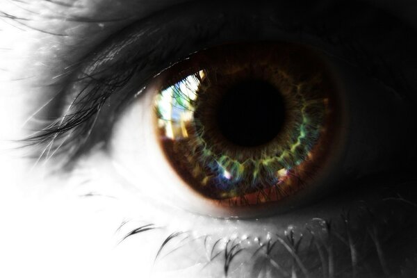 Разноцветный зрачок глаза с ресницами