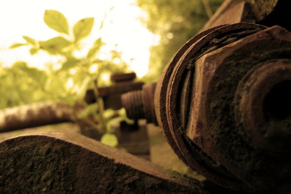 Photo of a rusty metal bolt. Rust on metal somewhere in the greenery