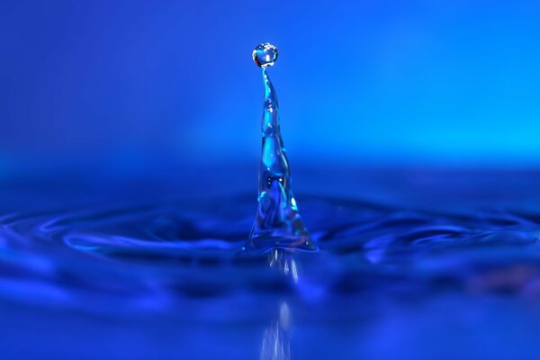 Fermati un attimo, una goccia d acqua blu cade e rimbalza di nuovo sollevando la colonna d acqua