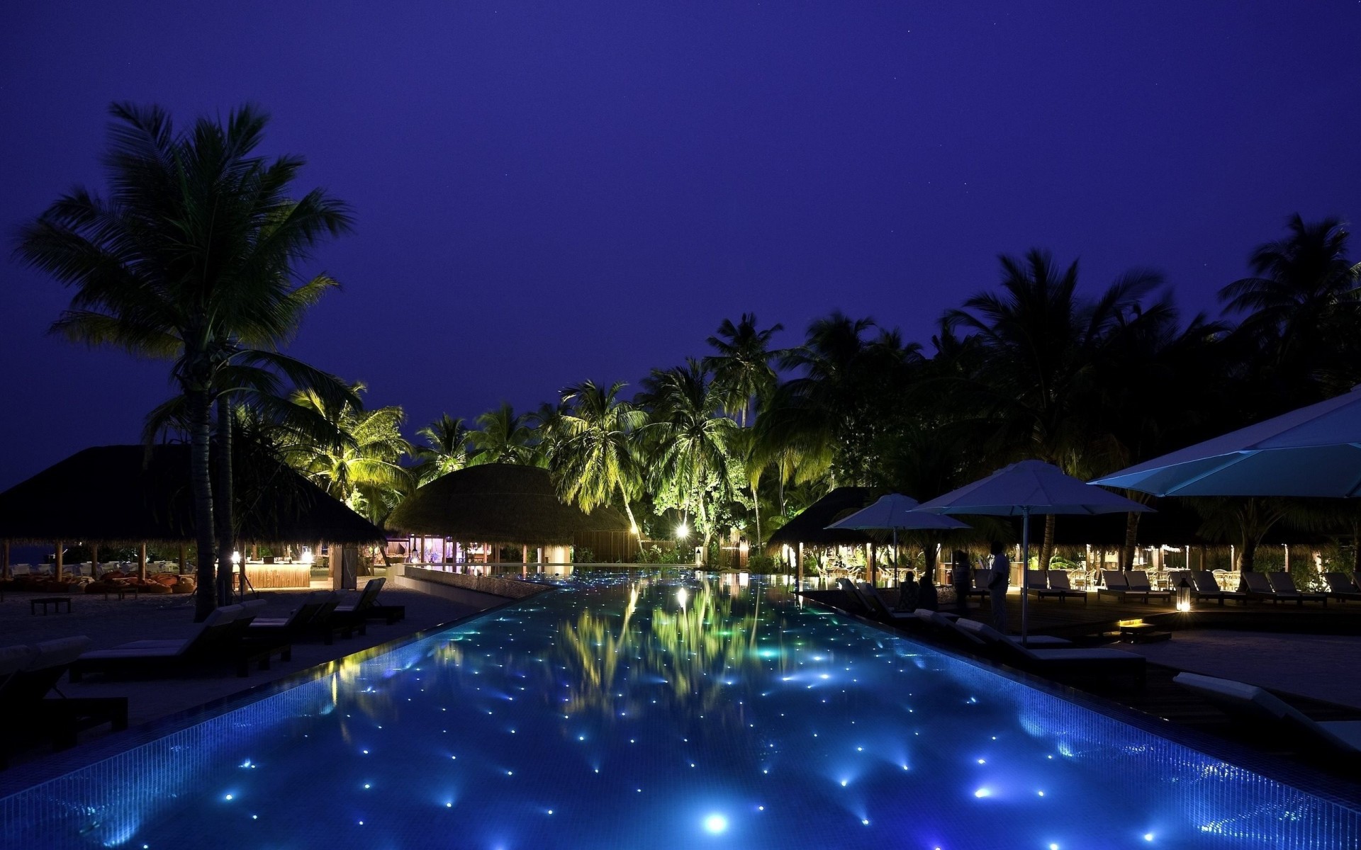 piscina palmeras noche descanso