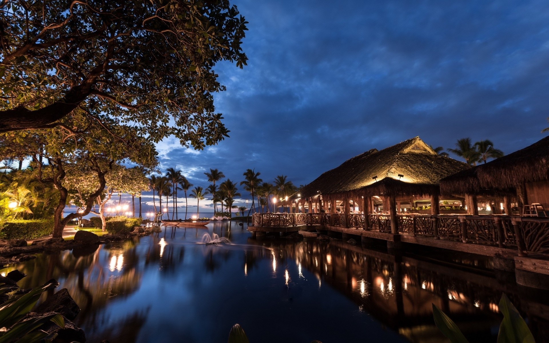 mer hawaii nuit lumière palmiers