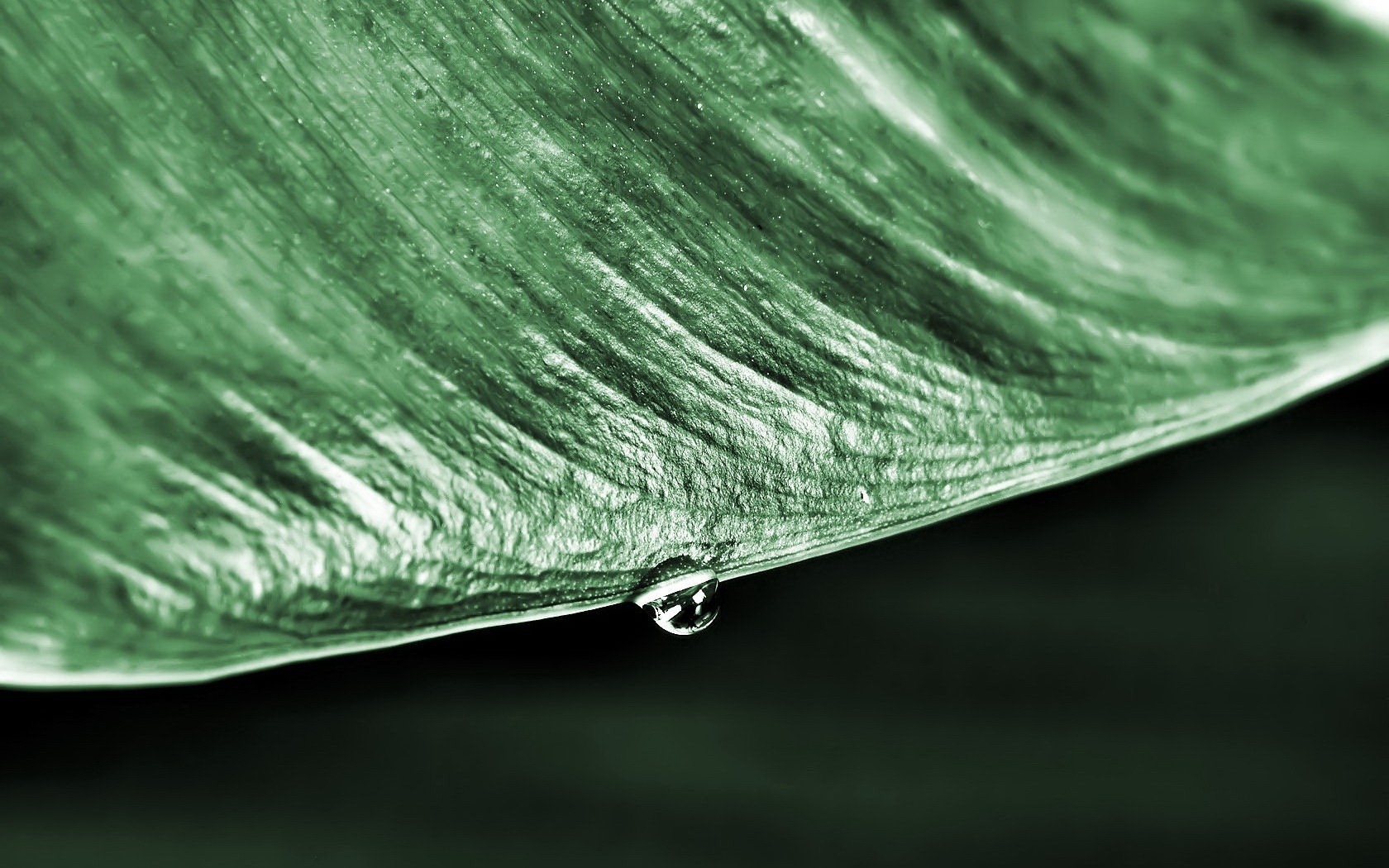 green drop sheet