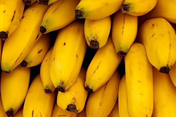 Яркие желтые бананы крупным планом