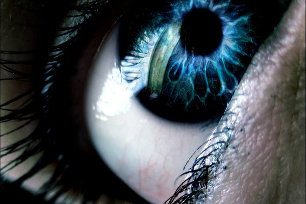 Цвет редких черно синих глаз