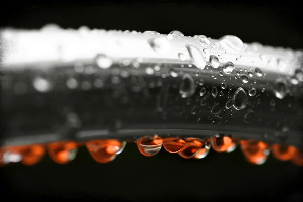 Macro foto de gotas de agua. Gotas en blanco y negro en luz roja