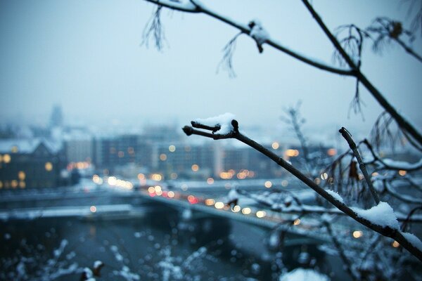 Winter verschneite Stadt Zweige im Schnee